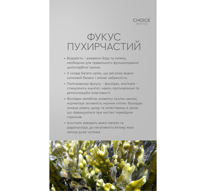 Гармония (для щитовидной железы) Choice — купить в Украине ᐉ Магазин ECOLAVKA